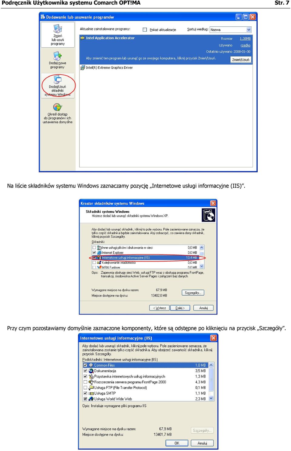 Internetowe usługi informacyjne (IIS).