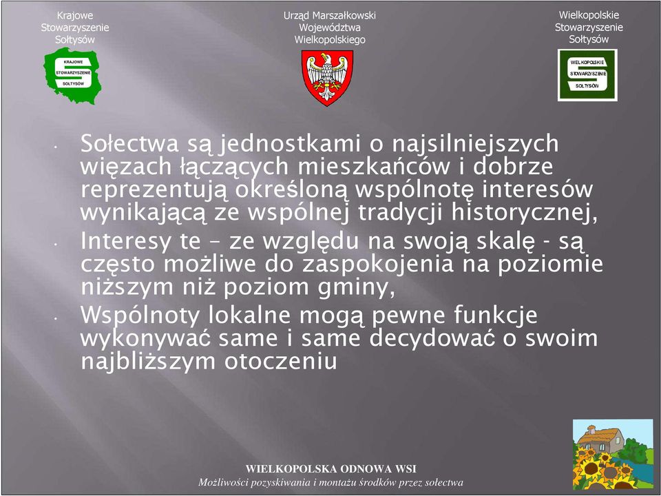 Interesy te ze względu na swoją skalę - są często moŝliwe do zaspokojenia na poziomie niŝszym