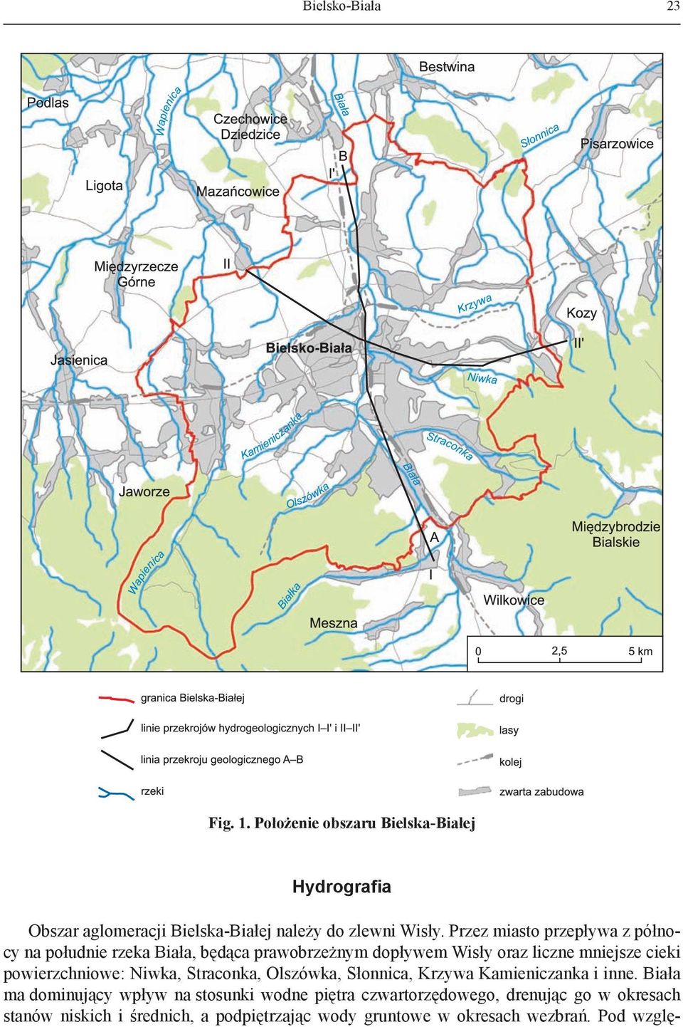 powierzchniowe: Niwka, Straconka, Olszówka, Słonnica, Krzywa Kamieniczanka i inne.