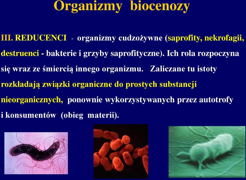saprofityczne). Ich rola rozpoczyna się wraz ze śmiercią innego organizmu.