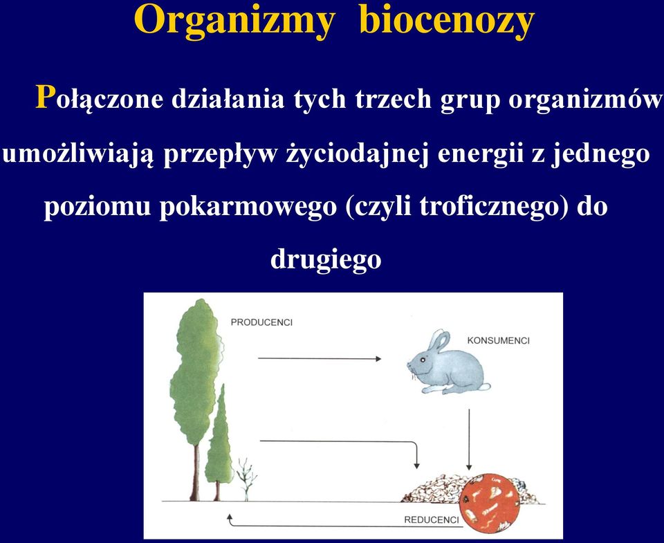 przepływ życiodajnej energii z jednego
