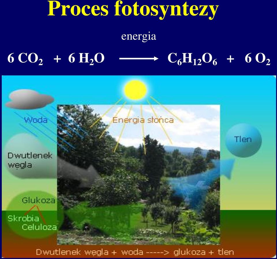 energia 6 CO 2
