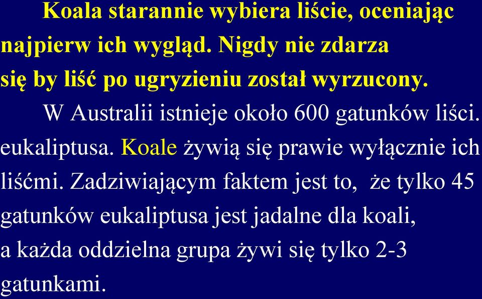 W Australii istnieje około 600 gatunków liści. eukaliptusa.