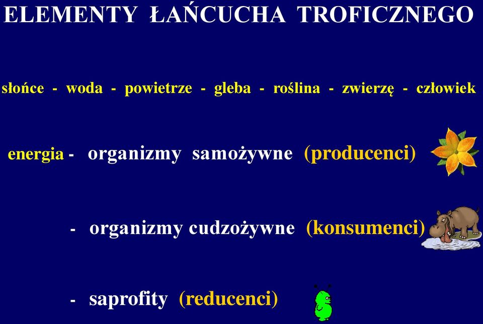 energia - organizmy samożywne (producenci) -