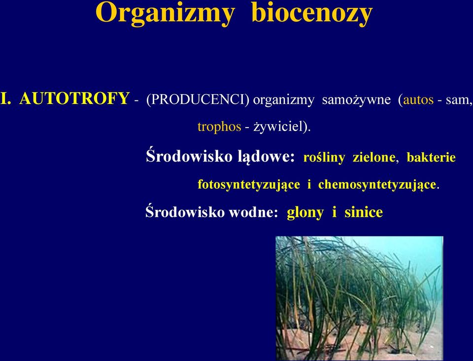 sam, trophos - żywiciel).