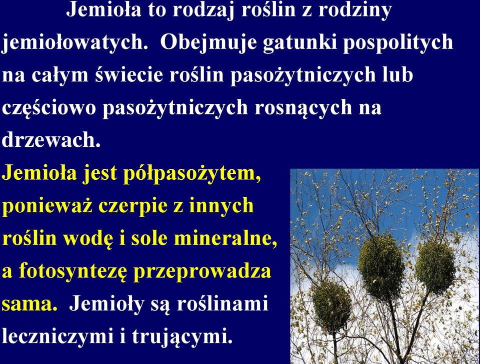 pasożytniczych rosnących na drzewach.