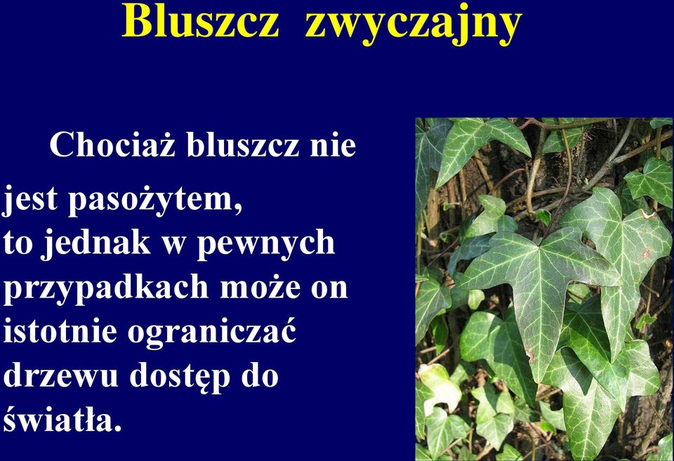 pewnych przypadkach może on