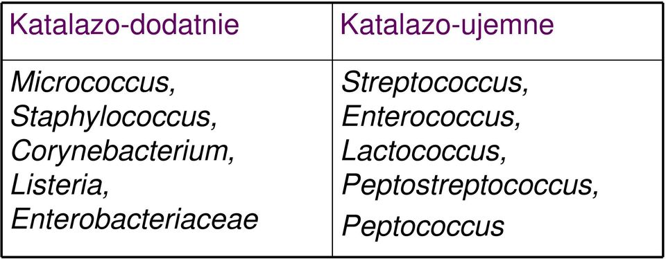 Enterobacteriaceae Katalazo-ujemne