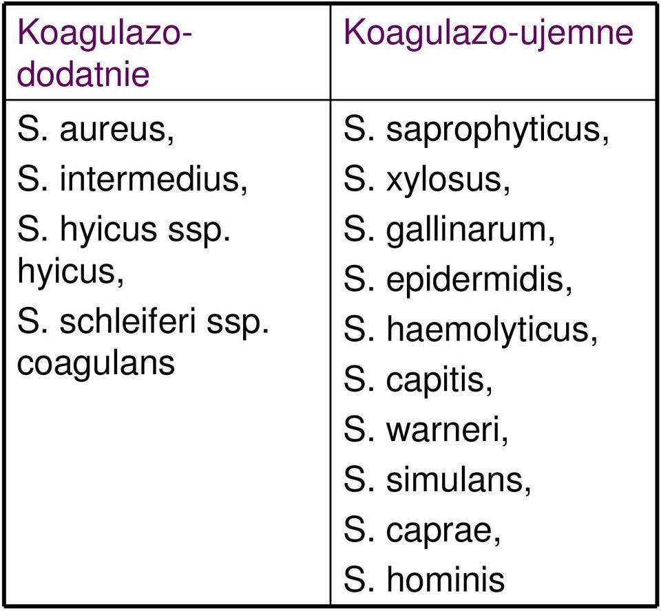 saprophyticus, S. xylosus, S. gallinarum, S. epidermidis, S.