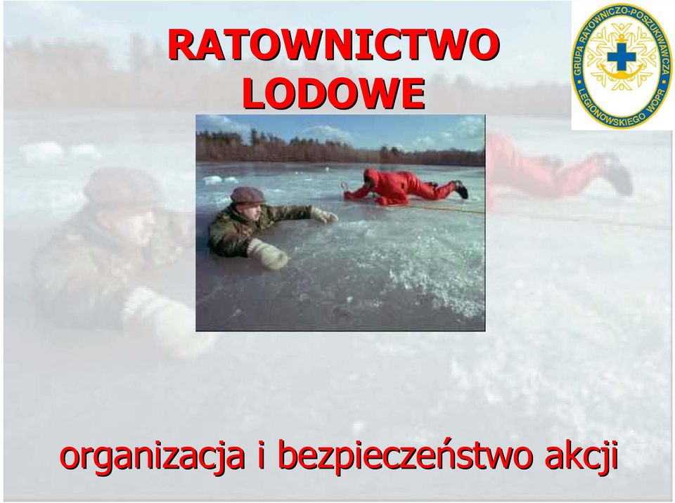 organizacja i