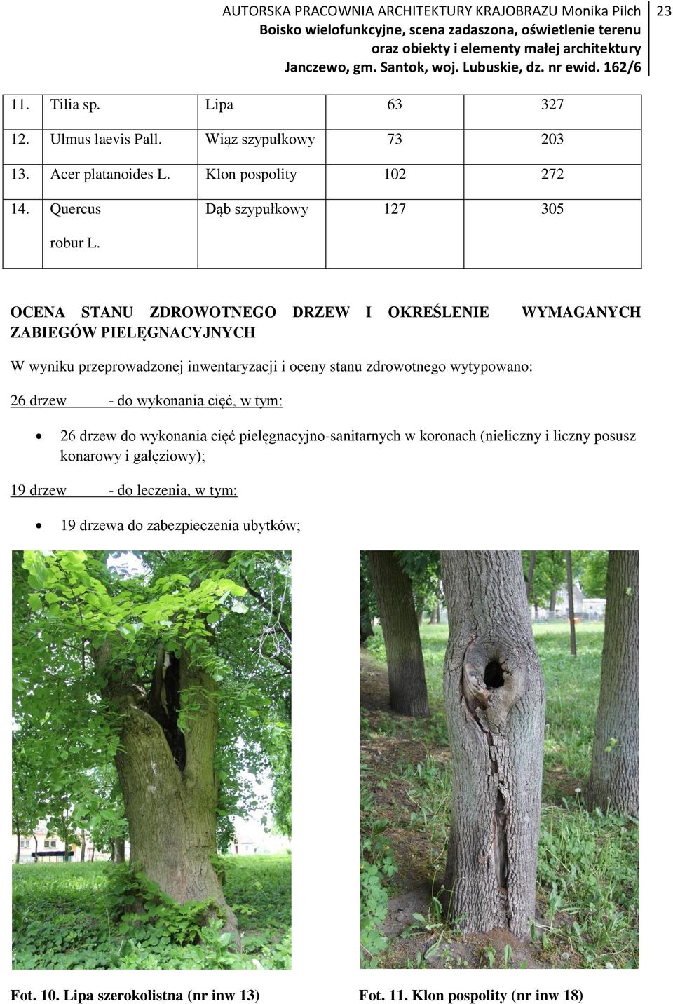 OCENA STANU ZDROWOTNEGO DRZEW I OKREŚLENIE WYMAGANYCH ZABIEGÓW PIELĘGNACYJNYCH W wyniku przeprowadzonej inwentaryzacji i oceny stanu zdrowotnego