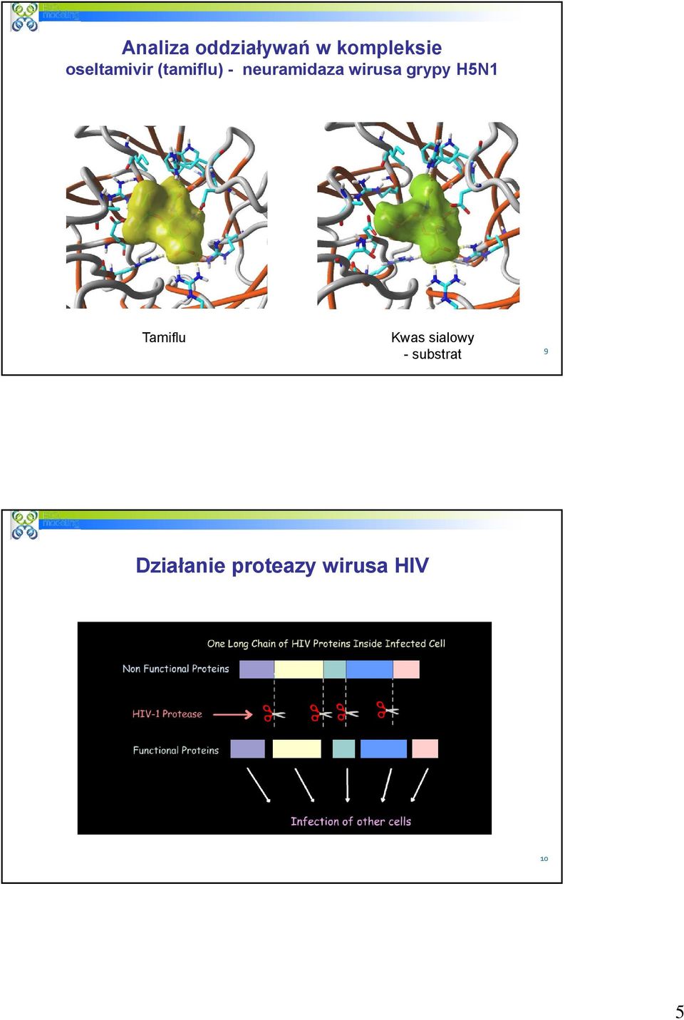 wirusa grypy H5N1 Tamiflu Kwas sialowy