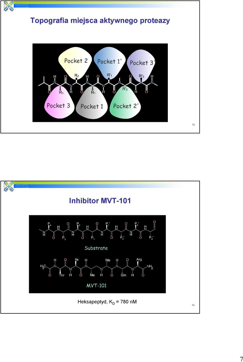 Inhibitor MVT-101