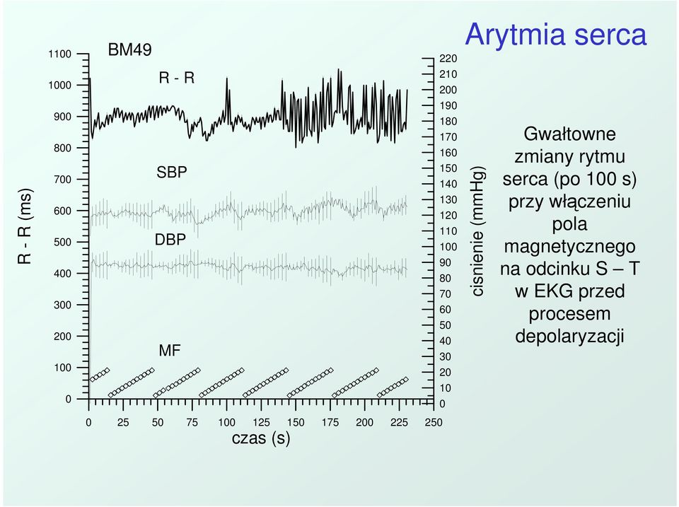 (mmhg) Gwałtowne zmiany rytmu serca (po 100 s) przy włączeniu pola magnetycznego na