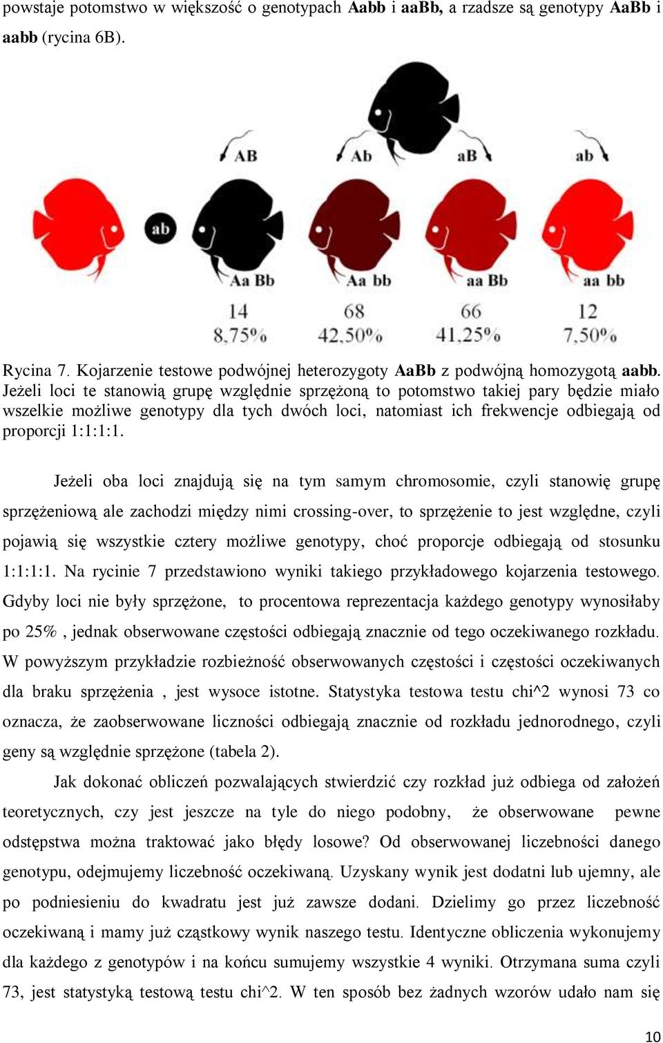 Jeżeli oba loci znajdują się na tym samym chromosomie, czyli stanowię grupę sprzężeniową ale zachodzi między nimi crossing-over, to sprzężenie to jest względne, czyli pojawią się wszystkie cztery