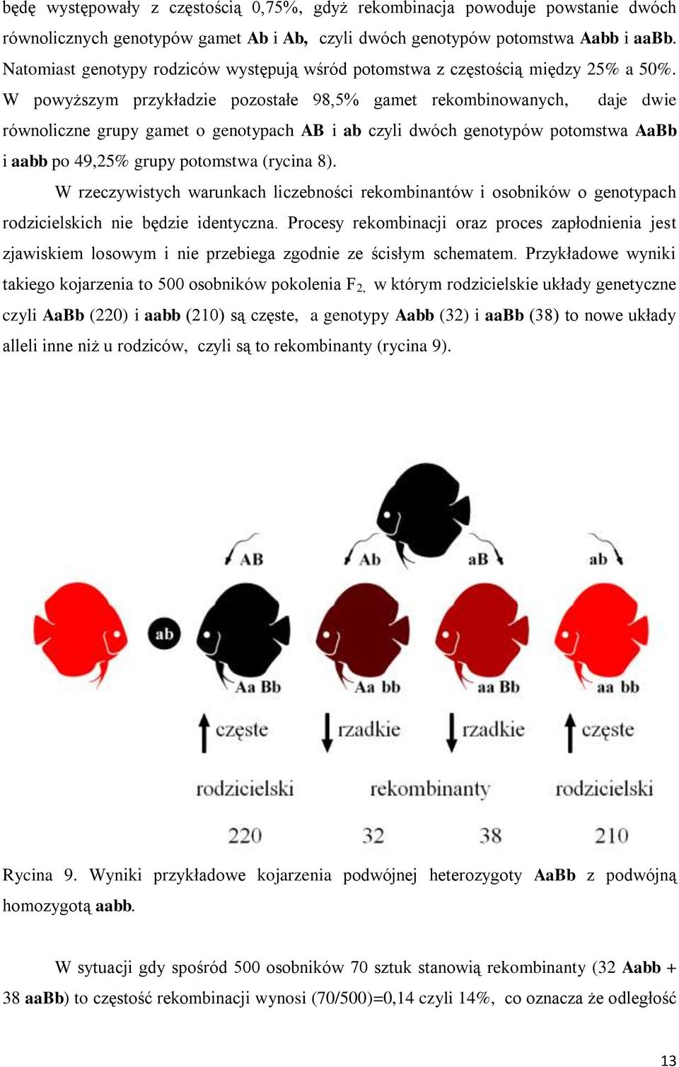 W powyższym przykładzie pozostałe 98,5% gamet rekombinowanych, daje dwie równoliczne grupy gamet o genotypach AB i ab czyli dwóch genotypów potomstwa AaBb i aabb po 49,25% grupy potomstwa (rycina 8).