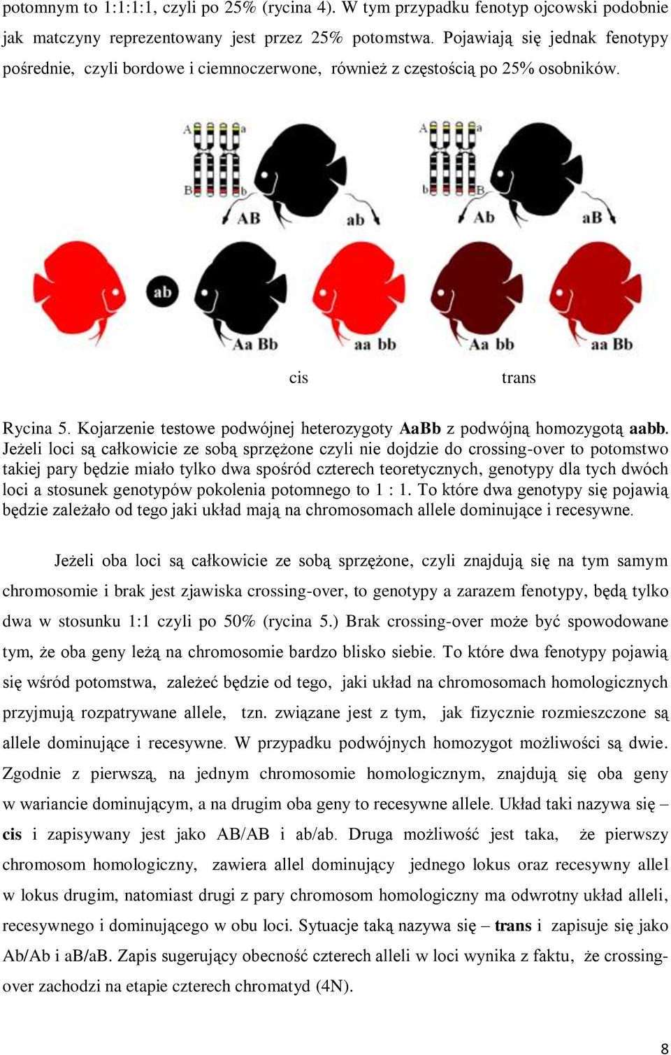 Kojarzenie testowe podwójnej heterozygoty AaBb z podwójną homozygotą aabb.