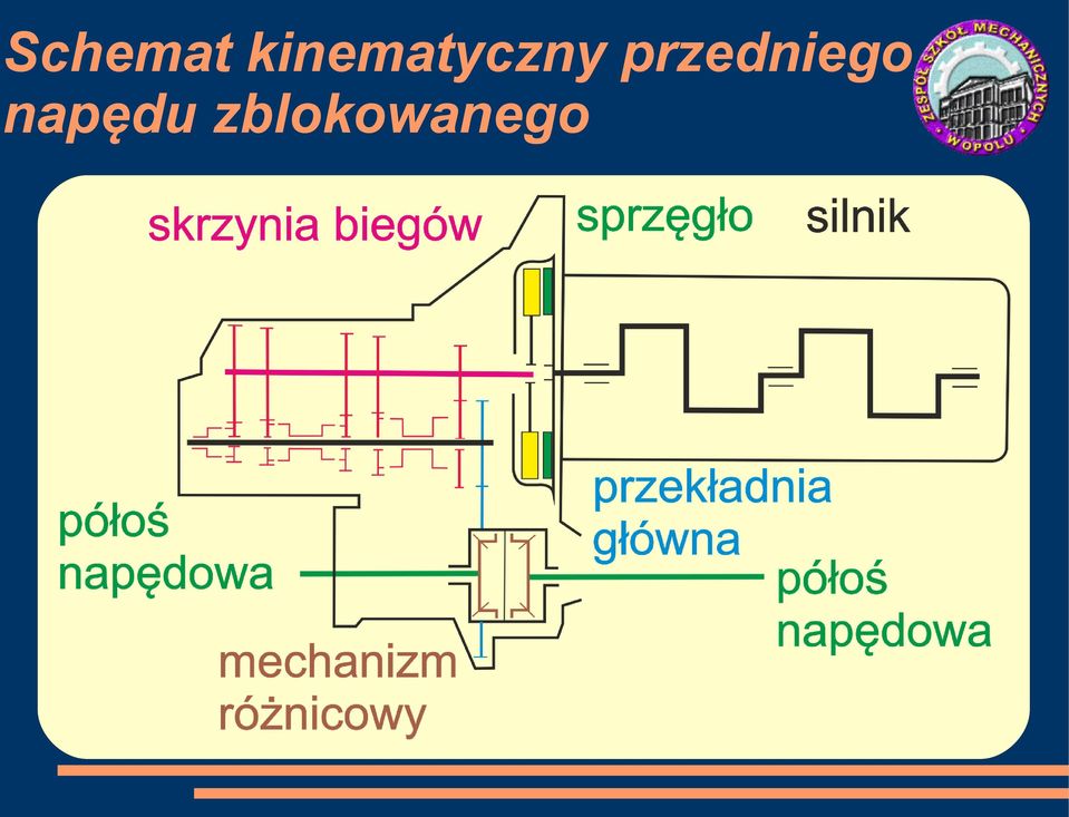 przedniego