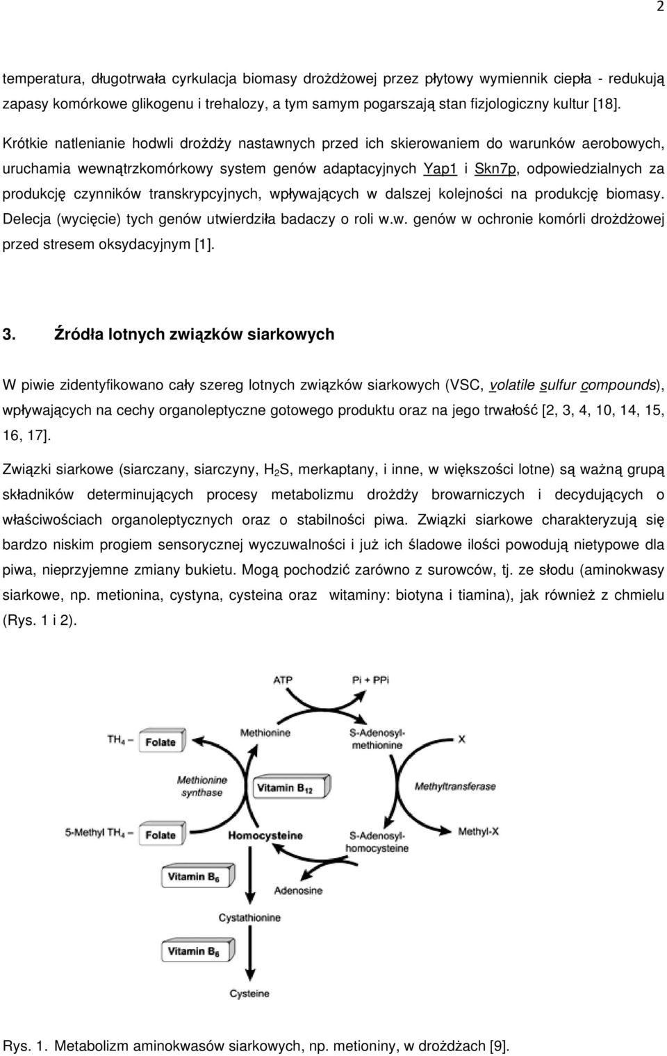 czynników transkrypcyjnych, wpływających w dalszej kolejności na produkcję biomasy. Delecja (wycięcie) tych genów utwierdziła badaczy o roli w.w. genów w ochronie komórli drożdżowej przed stresem oksydacyjnym [1].