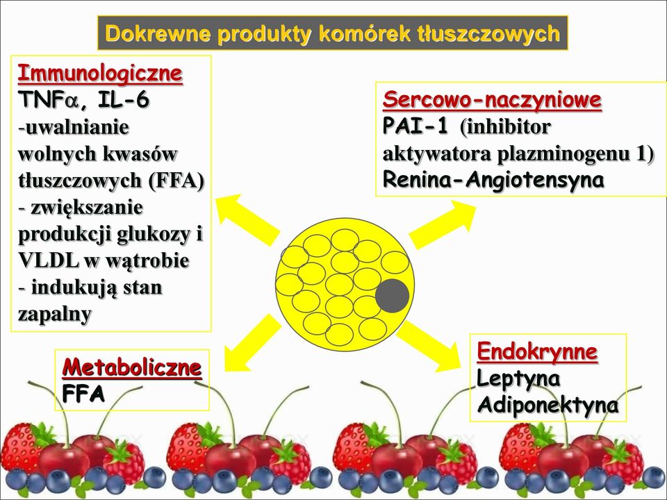 wątrobie - indukują stan zapalny Metaboliczne FFA Sercowo-naczyniowe PAI-1