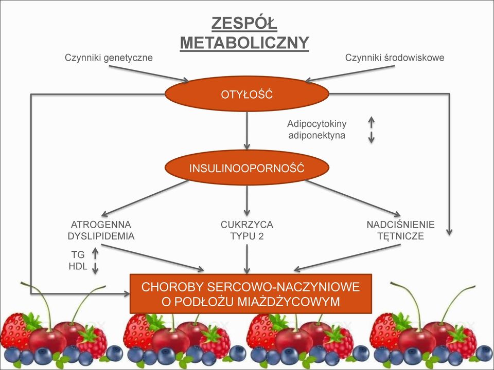 INSULINOOPORNOŚĆ ATROGENNA DYSLIPIDEMIA TG HDL CUKRZYCA