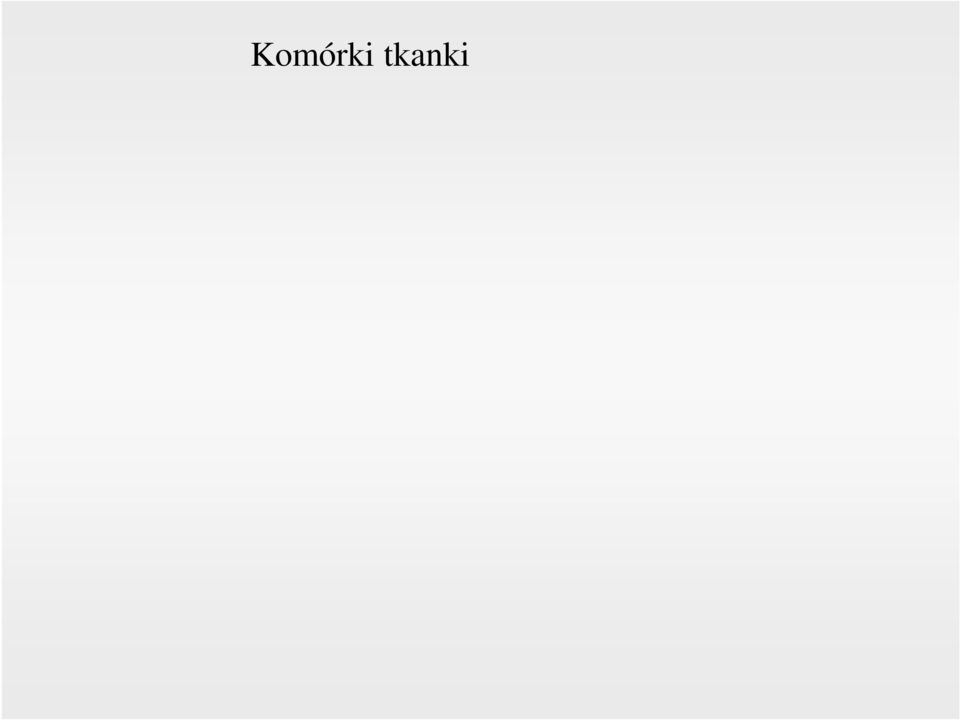 dopełniacza Receptory dla IgE Ziarnistości - skład Heparyna, Histamina, Czynnik chemotaktyczny dla