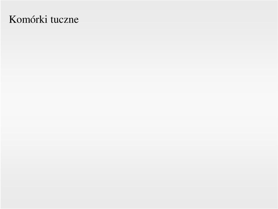 Powtórny kontakt z alergenem powoduje jego wiązanie z IgE powierzchni komórek tucznych, co powoduje degranulację Substancje czynne wydzielane i uwalniane oddziałują lokalnie
