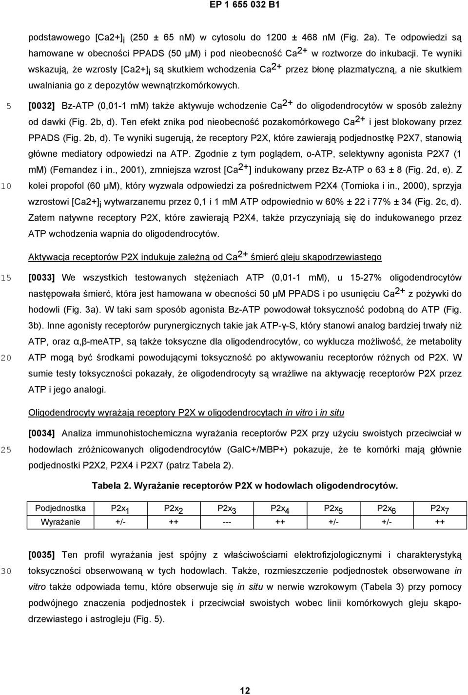 [0032] Bz-ATP (0,01-1 mm) także aktywuje wchodzenie Ca 2+ do oligodendrocytów w sposób zależny od dawki (Fig. 2b, d).