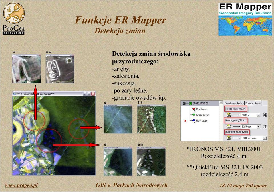 leśne, -gradacje owadów itp. ** * ** *IKONOS MS 321, VIII.