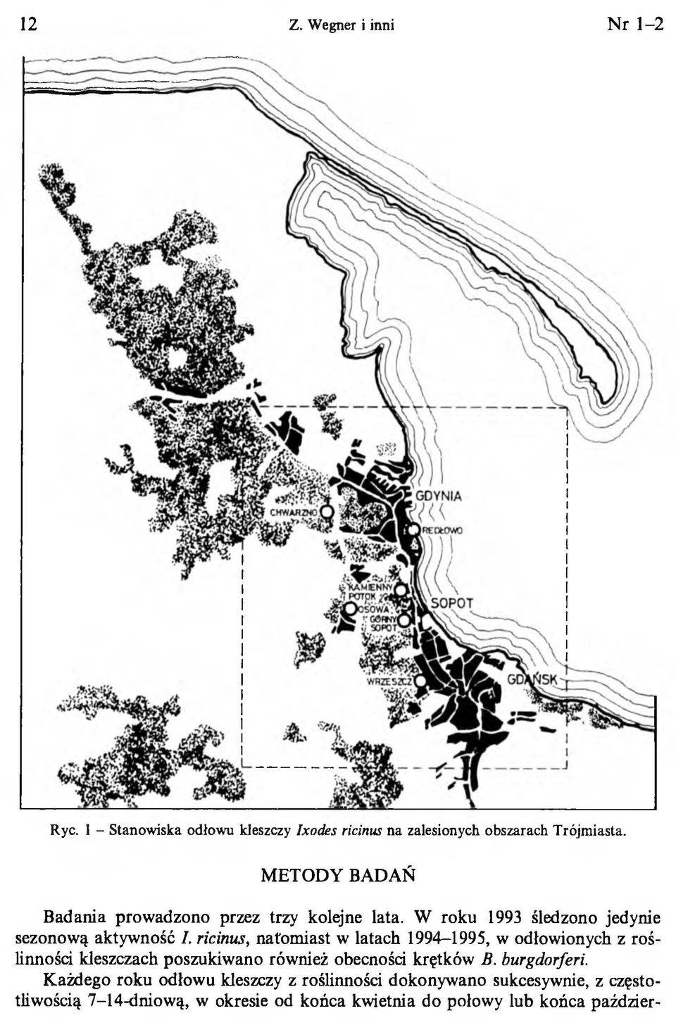 ricinus, natomiast w latach 1994-1995, w odłowionych z roślinności kleszczach poszukiwano również obecności krętków B.