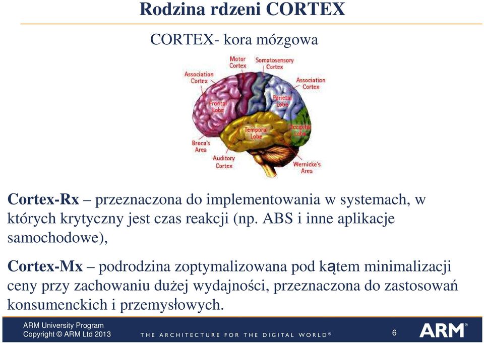 ABS i inne aplikacje samochodowe), Cortex-Mx podrodzina zoptymalizowana pod kątem
