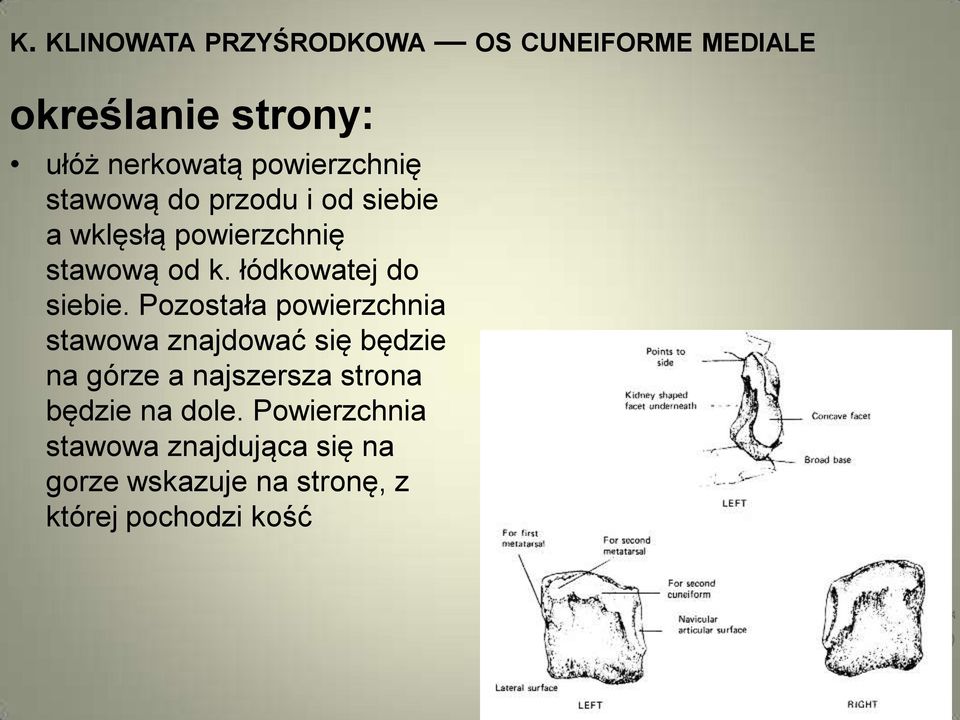 łódkowatej do siebie.