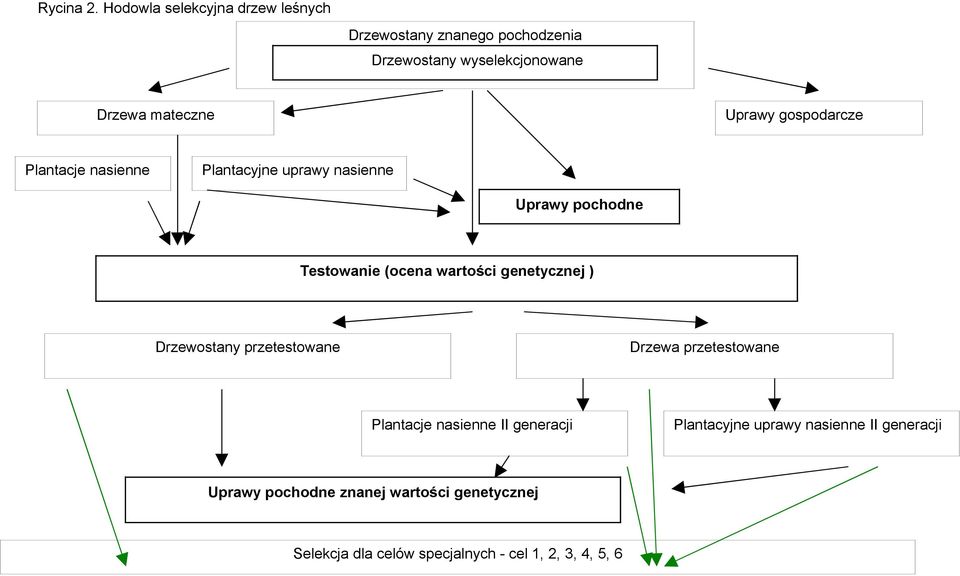 Uprawy gospodarcze Plantacje nasienne Plantacyjne uprawy nasienne Uprawy pochodne Testowanie (ocena wartości