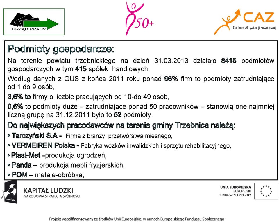 podmioty zatrudniające to podmioty duże zatrudniające ponad 50 pracowników stanowią one najmniej liczną grupę na 31.12.