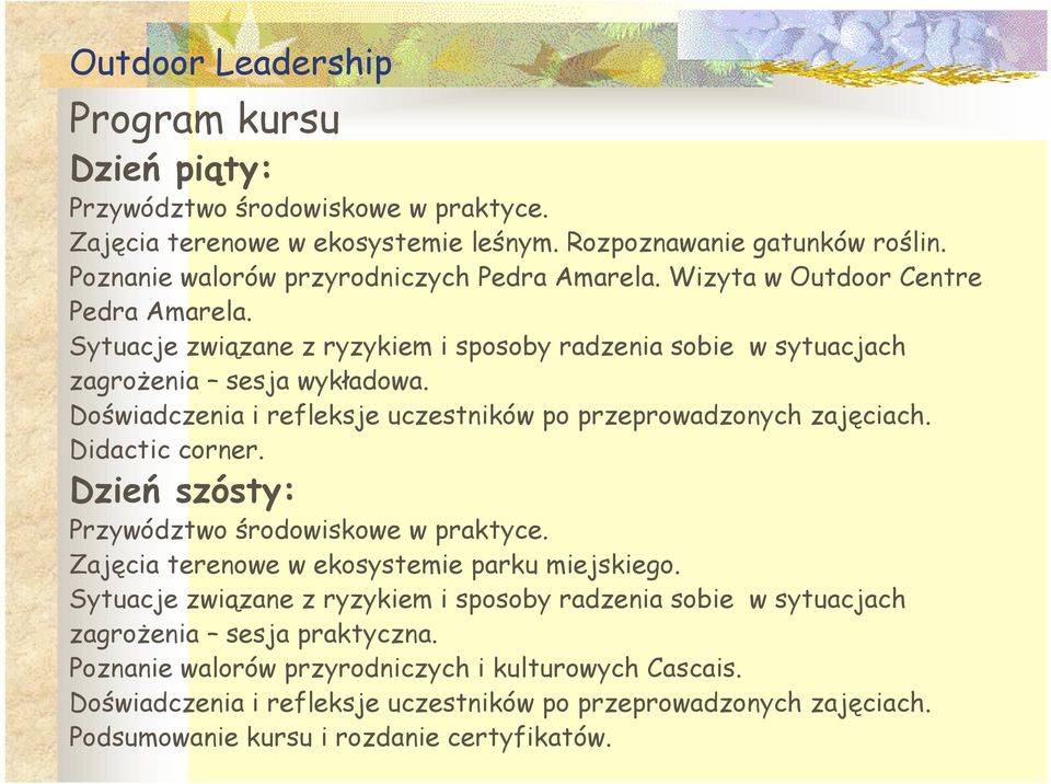 Doświadczenia i refleksje uczestników po przeprowadzonych zajęciach. Didactic corner. Dzień szósty: Przywództwo środowiskowe w praktyce. Zajęcia terenowe w ekosystemie parku miejskiego.