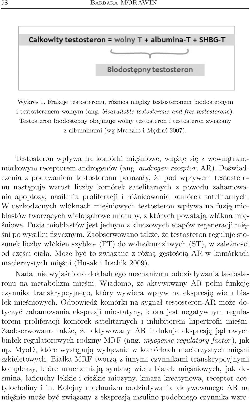 Testosteron wpływa na komórki mięśniowe, wiążąc się z wewnątrzkomórkowym receptorem androgenów (ang. androgen receptor, AR).