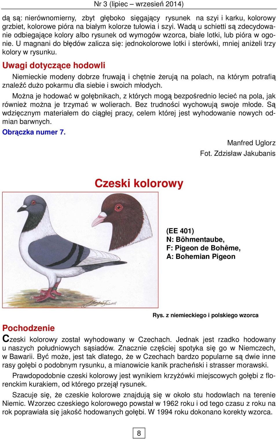 U magnani do błędów zalicza się: jednokolorowe lotki i sterówki, mniej aniŝeli trzy kolory w rysunku.