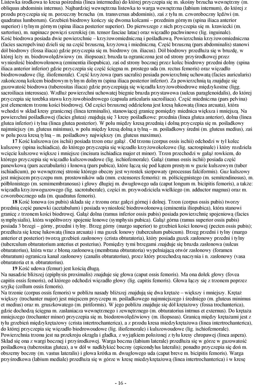 quadratus lumborum). Grzebień biodrowy kończy się dwoma kolcami przednim górnym (spina iliaca anterior superior) i tylnym górnym (spina iliaca posterior superior).