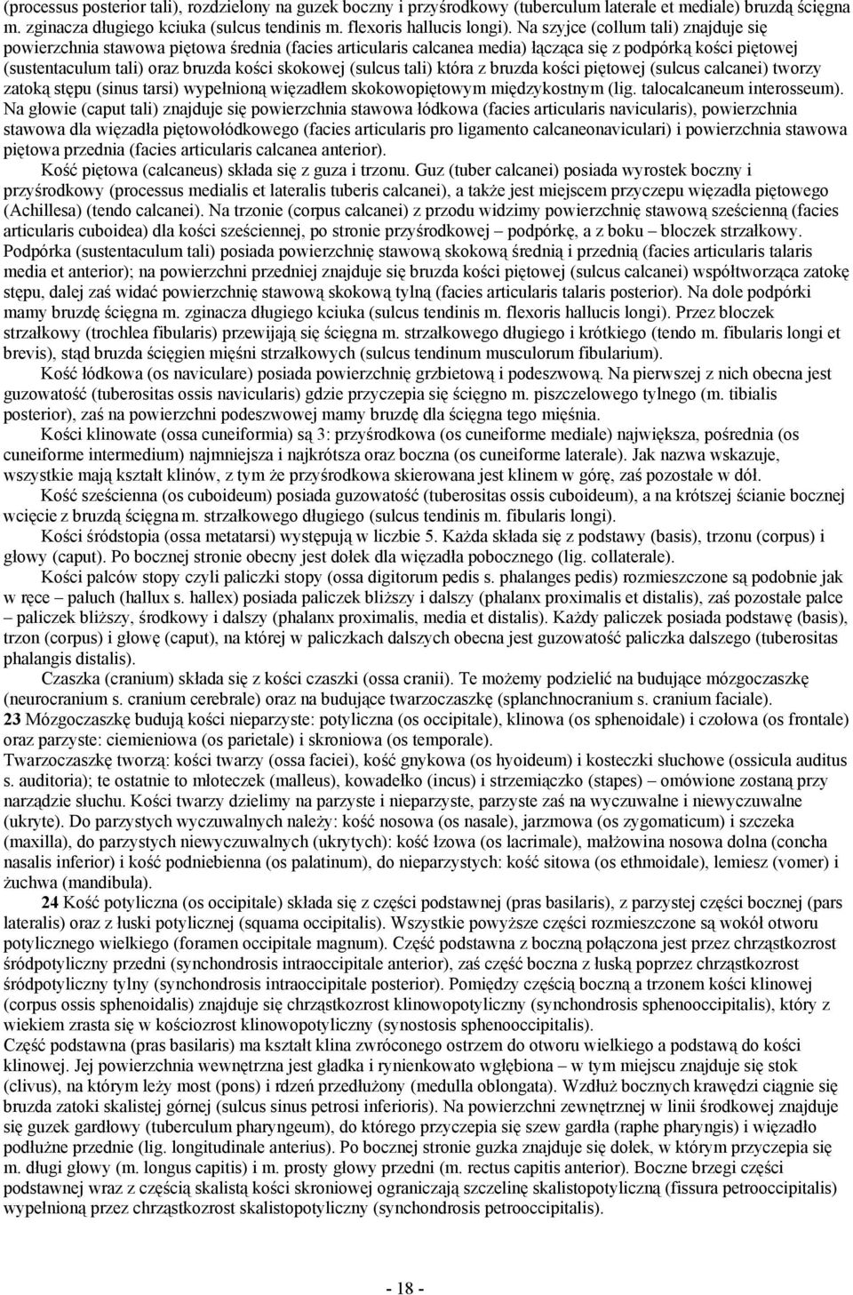 (sulcus tali) która z bruzda kości piętowej (sulcus calcanei) tworzy zatoką stępu (sinus tarsi) wypełnioną więzadłem skokowopiętowym międzykostnym (lig. talocalcaneum interosseum).