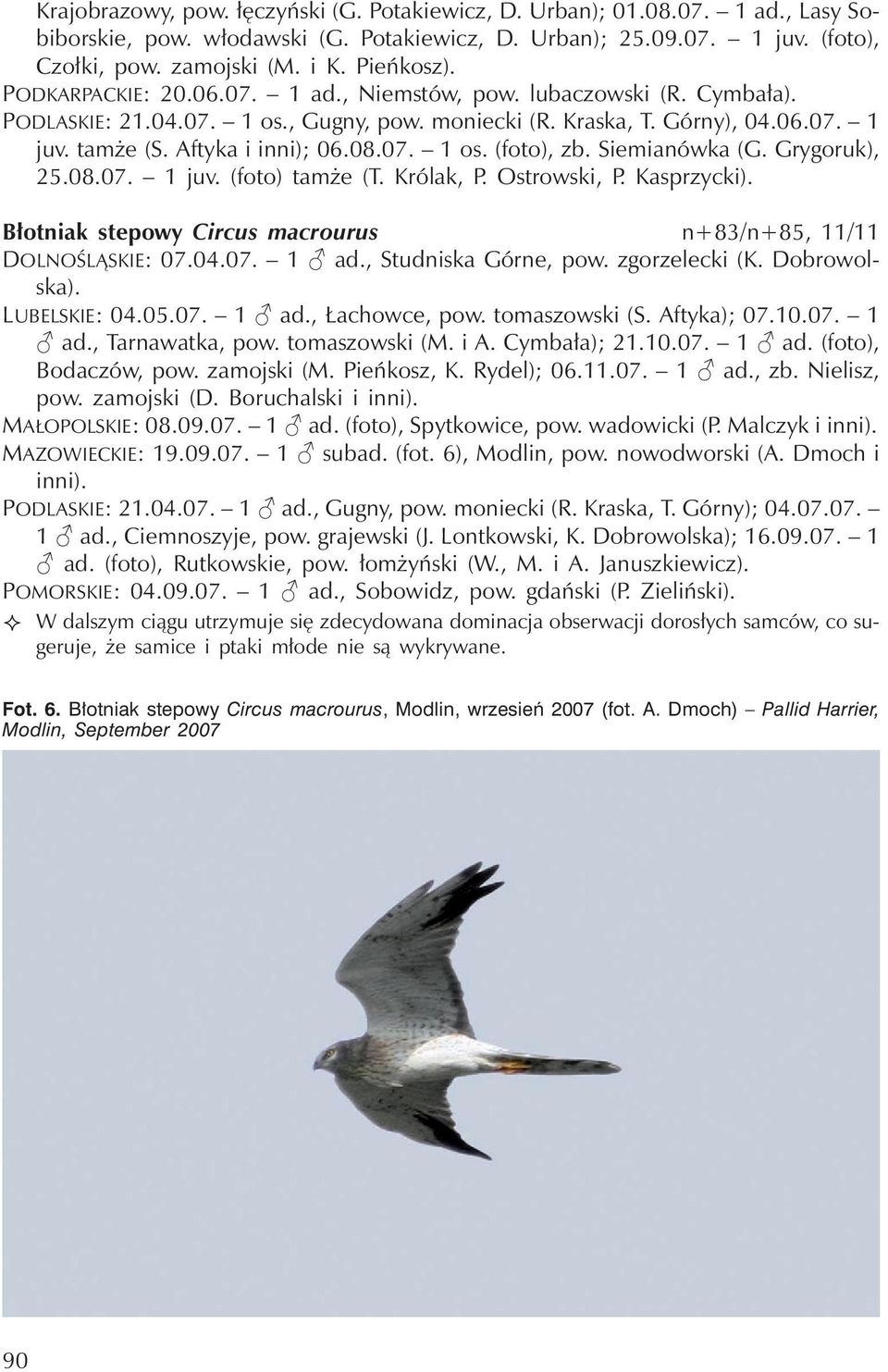 Siemianówka (G. Grygoruk), 25.08.07. 1juv.(foto) tamże (T. Królak, P. Ostrowski, P. Kasprzycki). Błotniak stepowy Circus macrourus n+83/n+85, 11/11 DOLNOŚLĄSKIE: 07.04.07. 1 ad., Studniska Górne, pow.