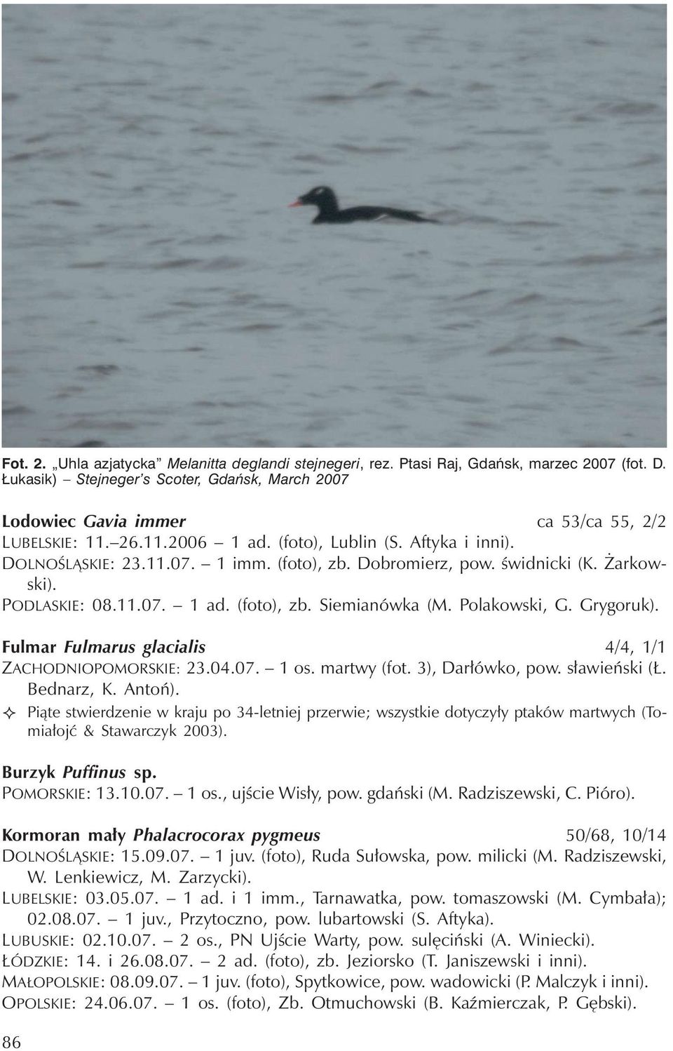 Polakowski, G. Grygoruk). Fulmar Fulmarus glacialis 4/4, 1/1 ZACHODNIOPOMORSKIE: 23.04.07. 1 os. martwy (fot. 3), Darłówko, pow. sławieński (Ł. Bednarz, K. Antoń).