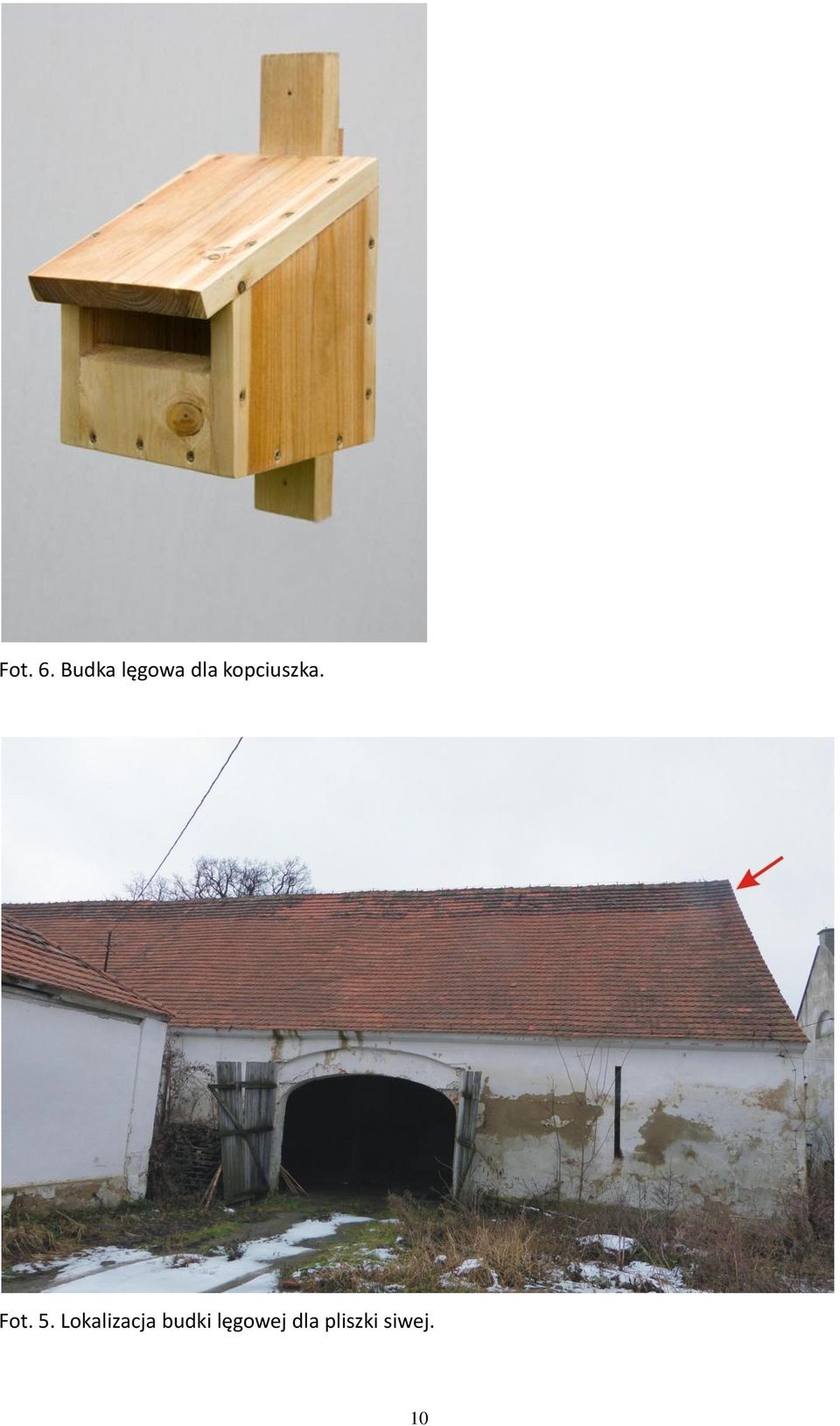 kopciuszka. Fot. 5.