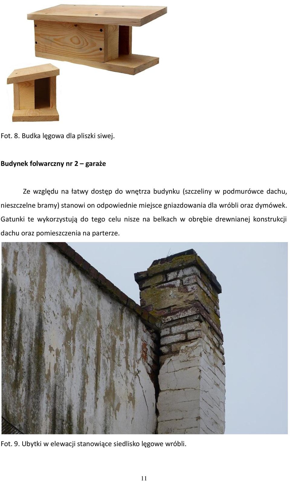 dachu, nieszczelne bramy) stanowi on odpowiednie miejsce gniazdowania dla wróbli oraz dymówek.