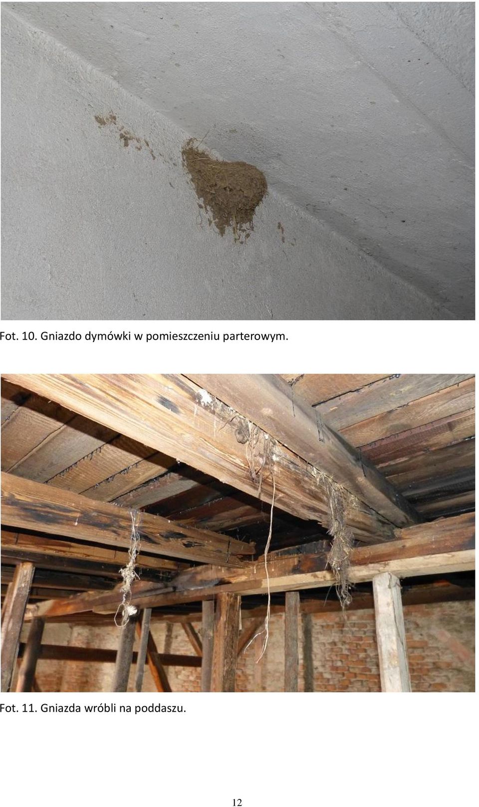 pomieszczeniu