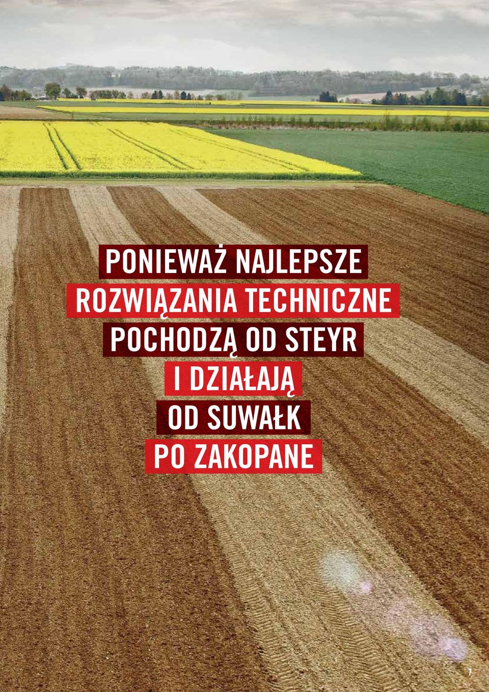 POCHODZĄ OD STEYR I