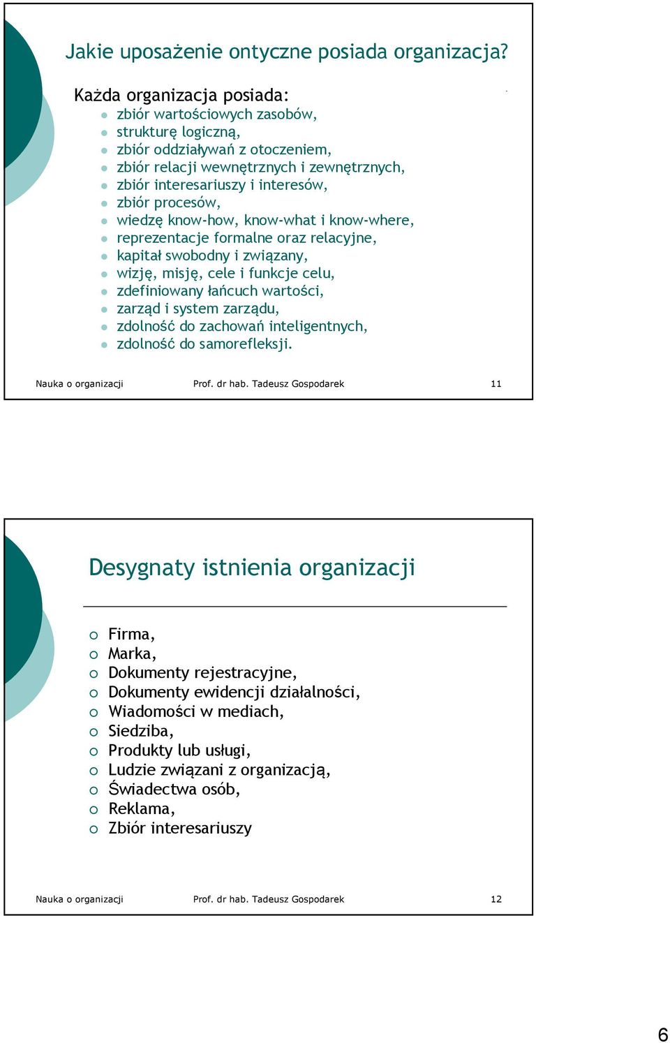 procesów, wiedzę know-how, know-what i know-where, reprezentacje formalne oraz relacyjne, kapitał swobodny i związany, wizję, misję, cele i funkcje celu, zdefiniowany łańcuch wartości, zarząd i