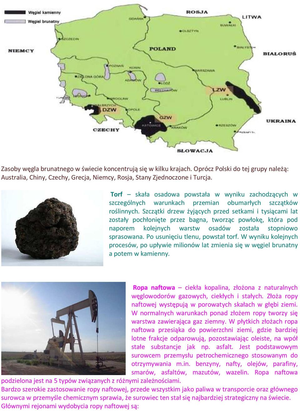 Szczątki drzew żyjących przed setkami i tysiącami lat zostały pochłonięte przez bagna, tworząc powłokę, która pod naporem kolejnych warstw osadów została stopniowo sprasowana.