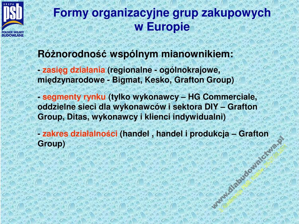 rynku (tylko wykonawcy HG Commerciale, oddzielne sieci dla wykonawców i sektora DIY Grafton