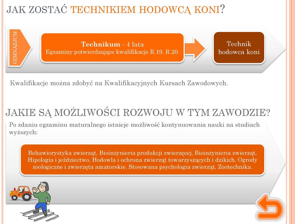 Po zdaniu egzaminu maturalnego istnieje możliwość kontynuowania nauki na studiach wyższych: Behawiorystyka zwierząt, Bioinżynieria produkcji