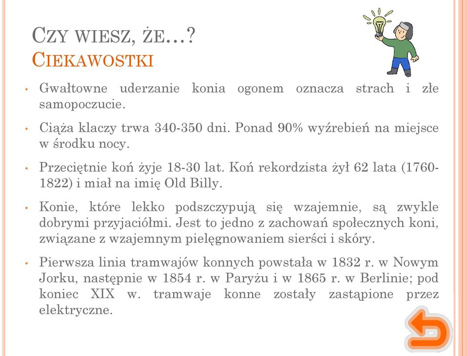 Konie, które lekko podszczypują się wzajemnie, są zwykle dobrymi przyjaciółmi.